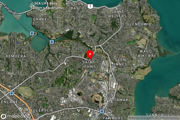 Saint Johns, Auckland Satellite Map