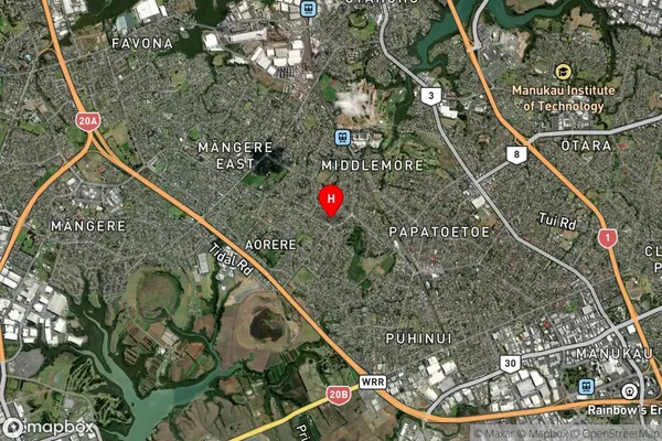 Mercer, Auckland Satellite Map