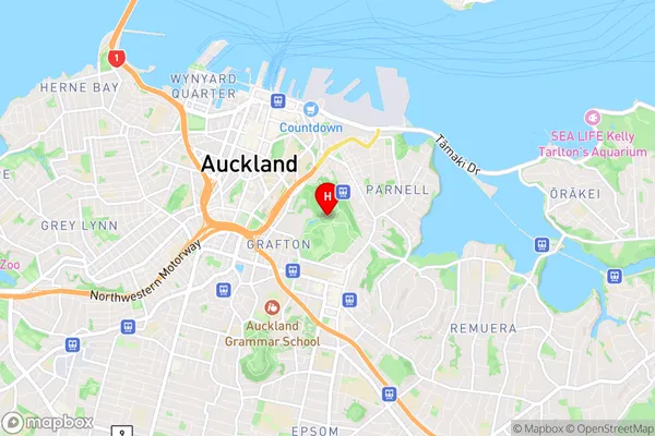 Pukekawa, Auckland Region Map