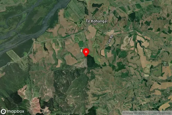 Te Kohanga, Waikato Satellite Map