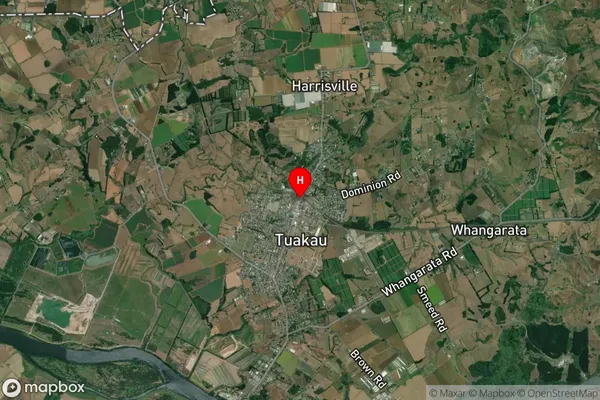 Tuakau, Auckland Satellite Map