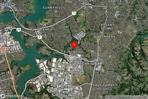 Burswood, Auckland Satellite Map