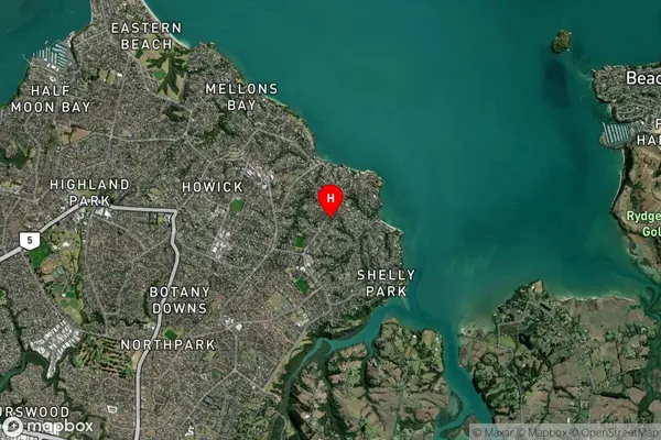 Cockle Bay, Auckland Satellite Map