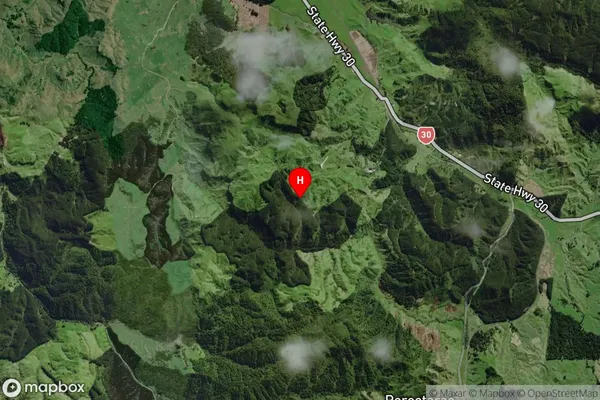 Kopaki, Waikato Satellite Map