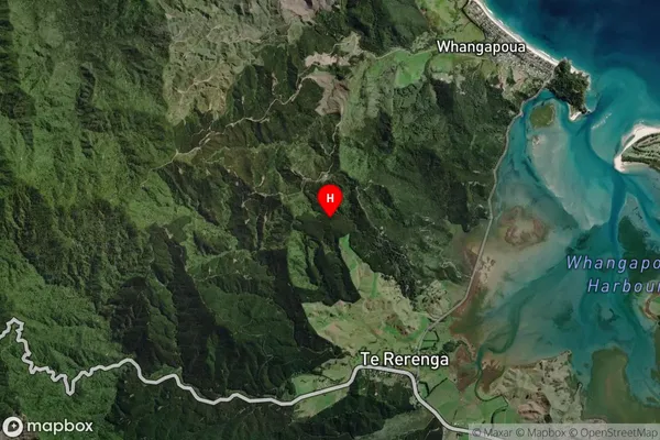 Te Rerenga, Waikato Satellite Map