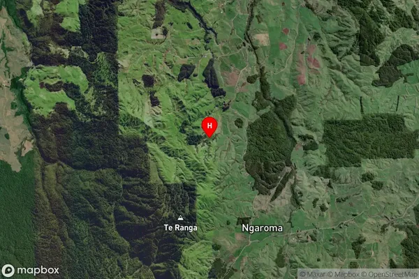 Wharepuhunga, Waikato Satellite Map