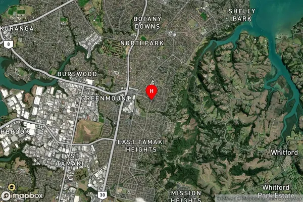 Dannemora, Auckland Satellite Map