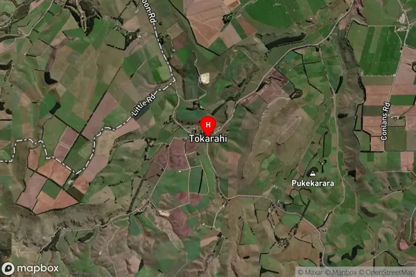 Tokarahi, Otago Satellite Map