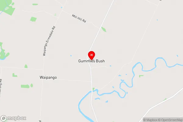 Gummies Bush, Southland Region Map