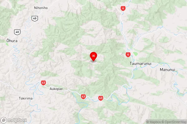 Taumarunui, Manawatu-Wanganui Region Map