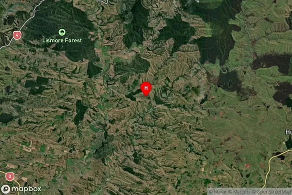 Wanganui, Manawatu-Wanganui Satellite Map