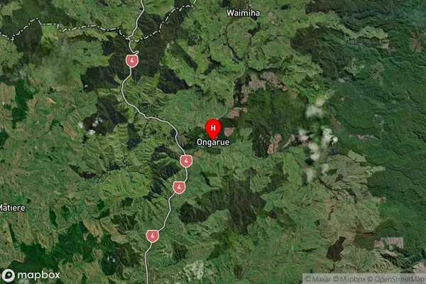 Ongarue, Manawatu-Wanganui Satellite Map