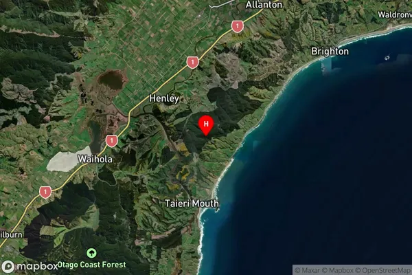 Brighton, Otago Satellite Map