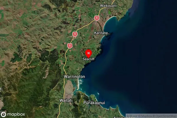 Waikouaiti, Otago Satellite Map