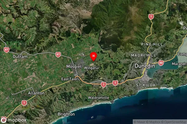 Mosgiel, Otago Satellite Map