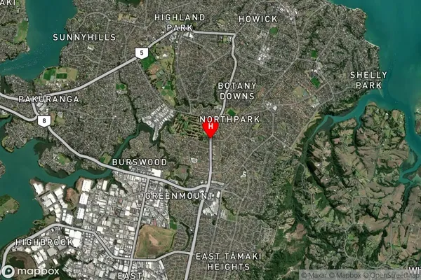 Golflands, Auckland Satellite Map