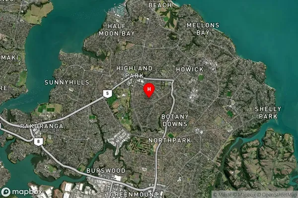 Highland Park, Auckland Satellite Map