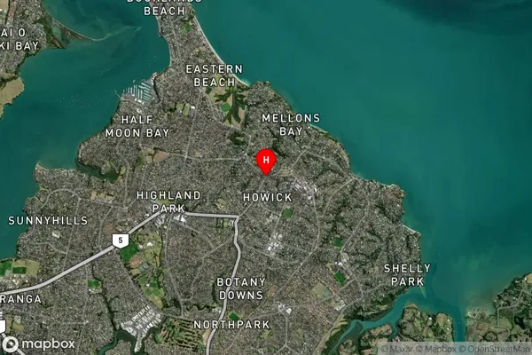 Howick, Auckland Satellite Map