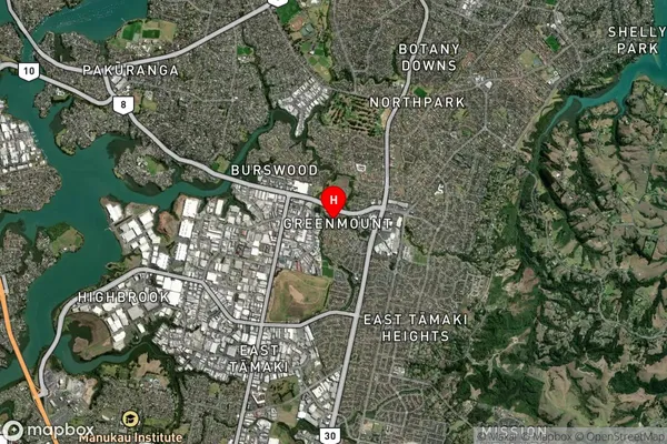 Huntington Park, Auckland Satellite Map