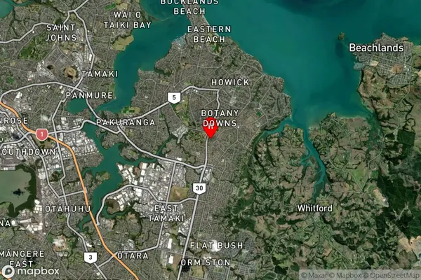 East Auckland, Auckland Satellite Map