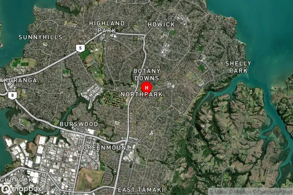 Northpark, Auckland Satellite Map