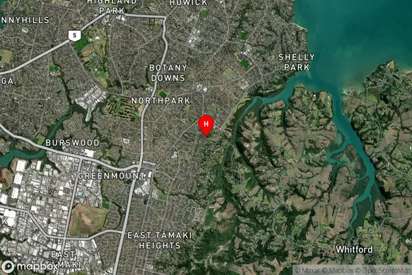 Shamrock Park, Auckland Satellite Map