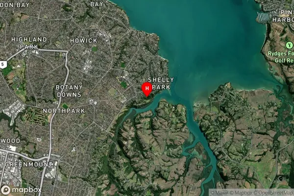 Shelly Park, Auckland Satellite Map