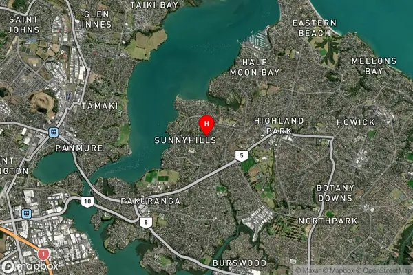 Sunnyhills, Auckland Satellite Map