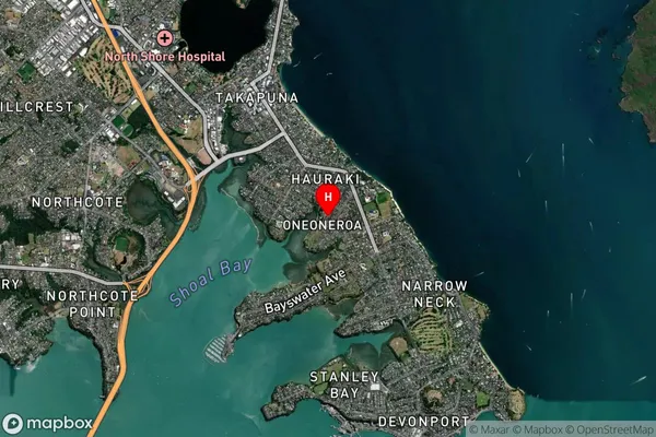 Belmont, Auckland Satellite Map