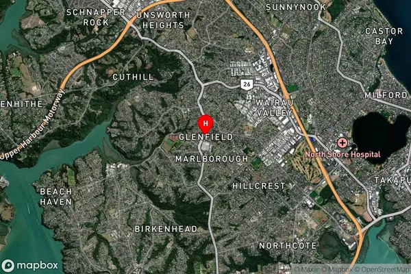 Glenfield, Auckland Satellite Map