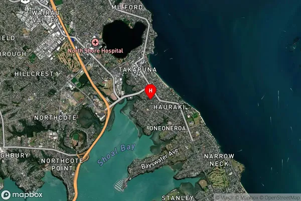 Hauraki, Auckland Satellite Map