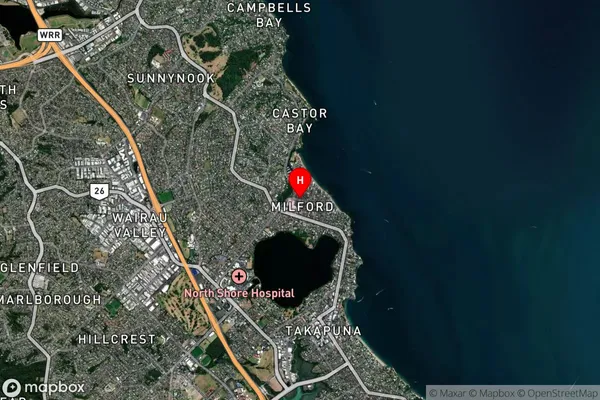 Milford, Auckland Satellite Map