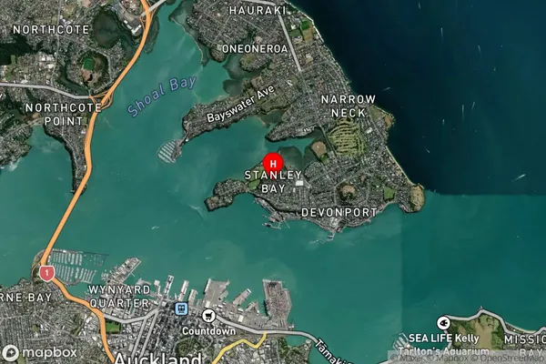 Stanley Point, Auckland Satellite Map