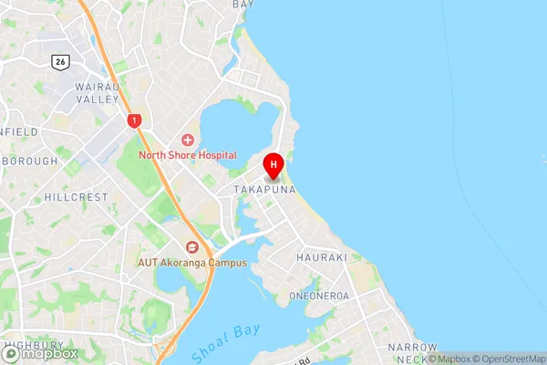 Takapuna, Auckland Region Map