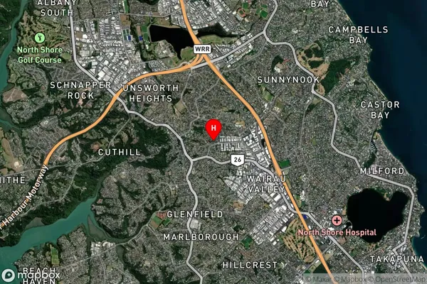 Totara Vale, Auckland Satellite Map