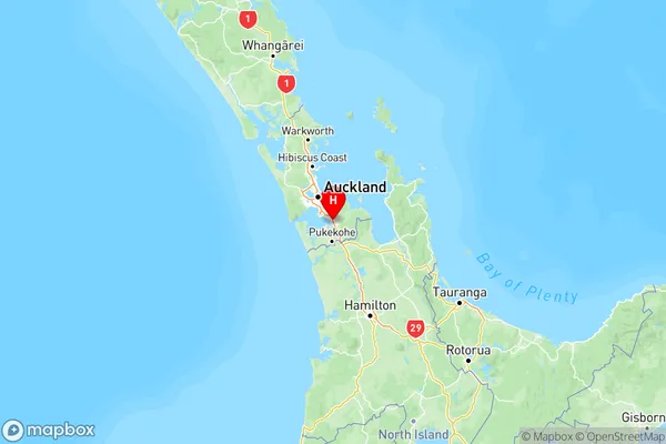 Conifer Grove, Auckland Region Map