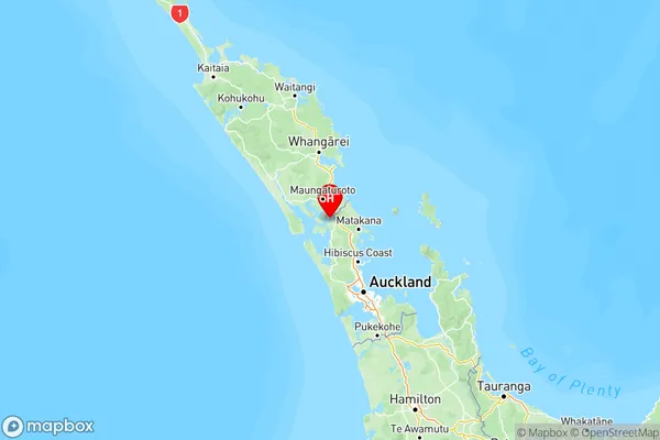 Port Albert, Auckland Region Map