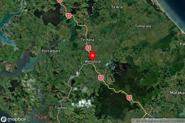 Wellsford, Auckland Satellite Map