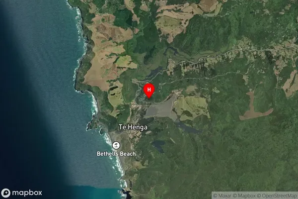 Bethells Beach, Auckland Satellite Map