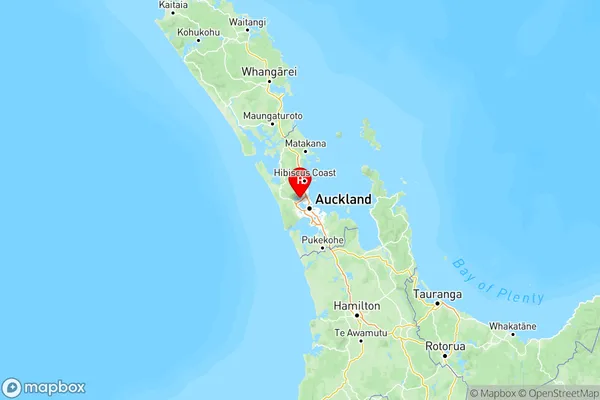 Herald Island, Auckland Region Map