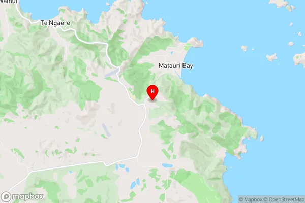 Matauri Bay, Northland Region Map