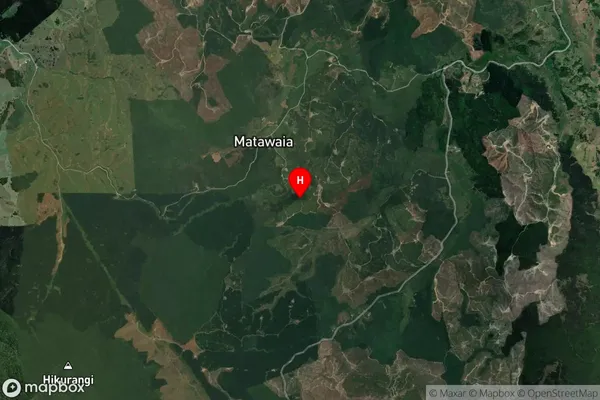 Matawaia, Northland Satellite Map