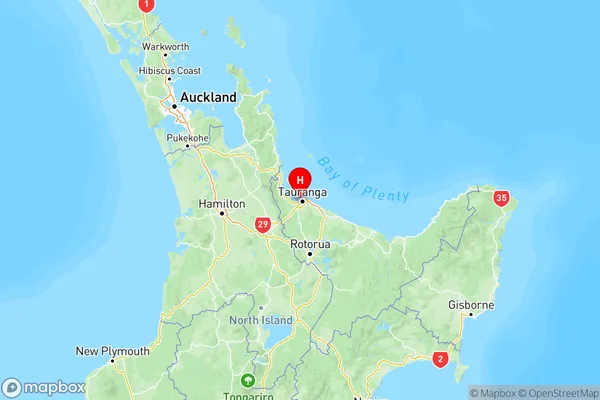 Otumoetai, Bay of Plenty Region Map