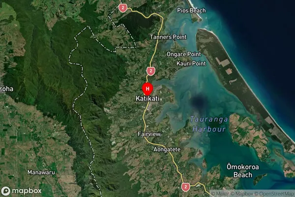 Katikati, Bay of Plenty Satellite Map