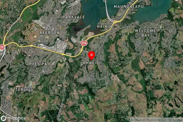 Ohauiti, Bay of Plenty Satellite Map