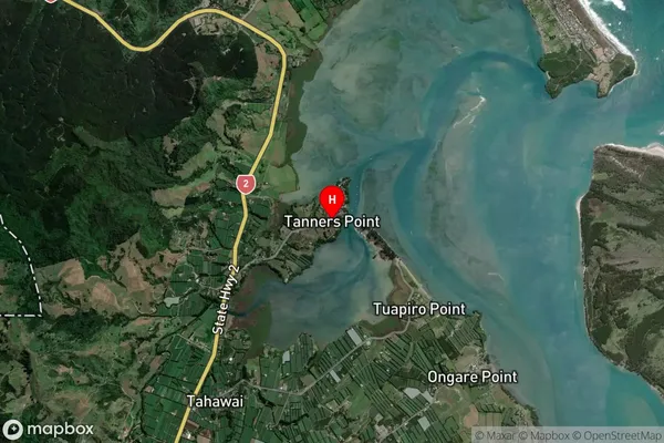 Tanners Point, Bay of Plenty Satellite Map