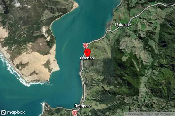 Opononi, Northland Satellite Map