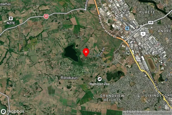 Burbush, Waikato Satellite Map