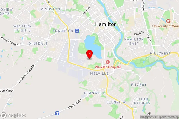 Hamilton Lake, Waikato Region Map