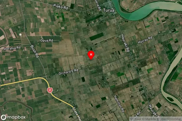 Turua, Waikato Satellite Map